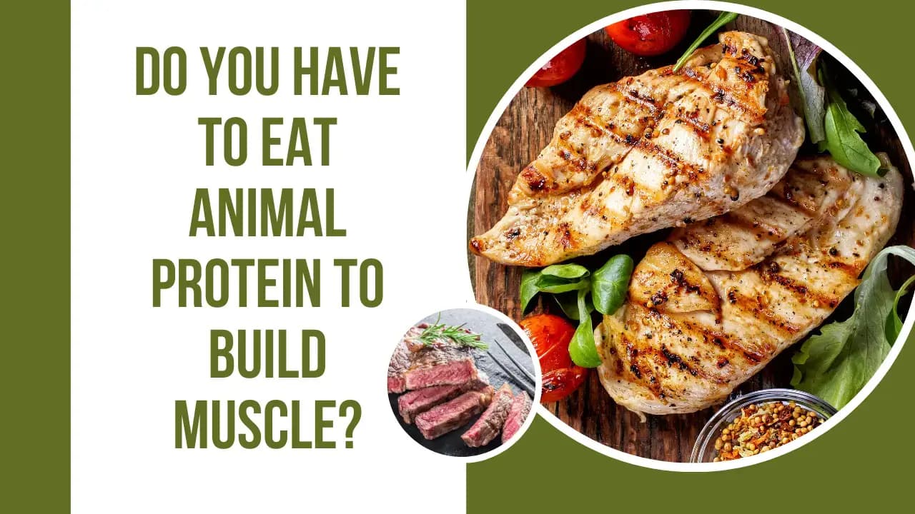 Protein Intake After Bariatric Surgery: Building Muscle with Plant-Based and Animal Protein Options
